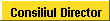 Consiliul Director